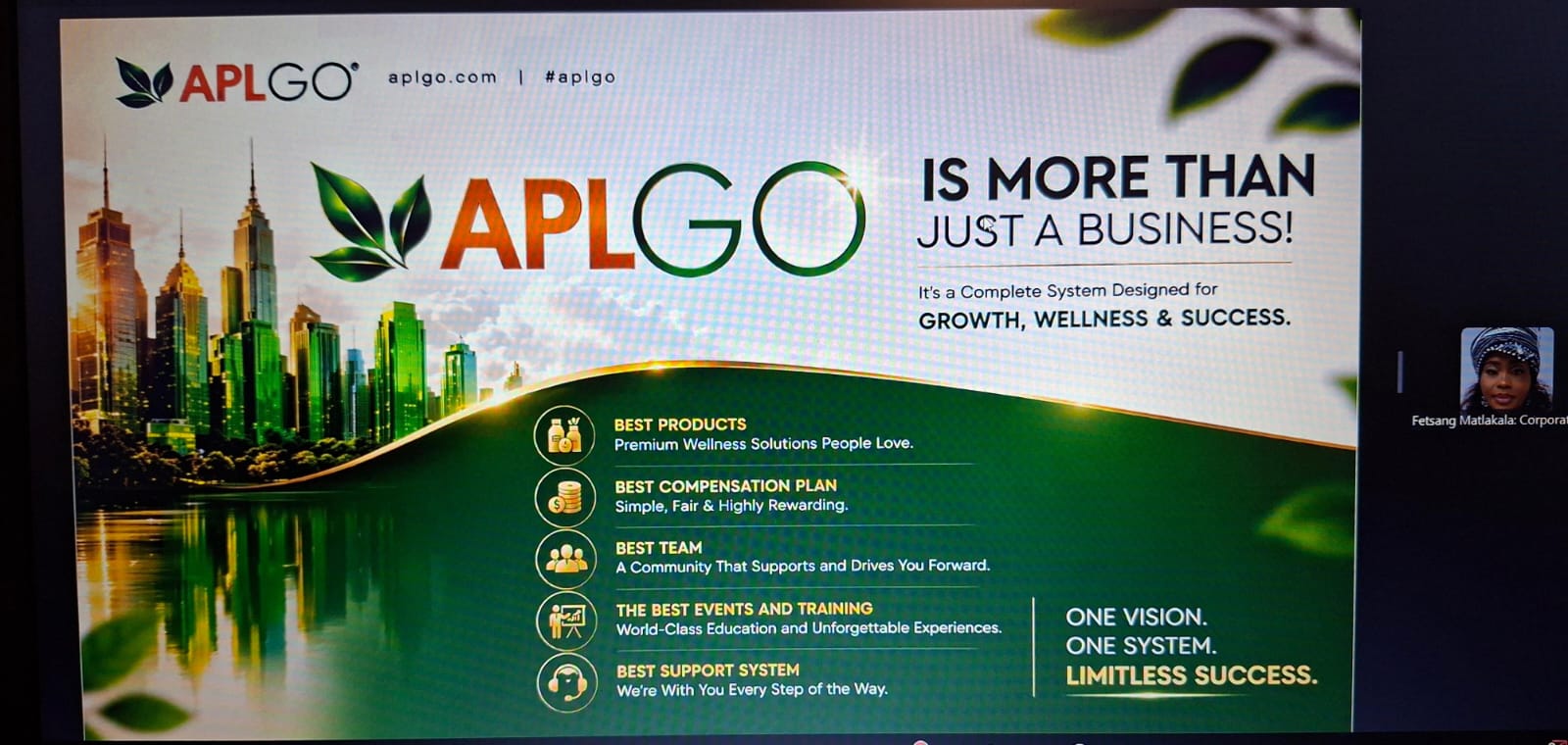 APLGO is more than just a business training poster